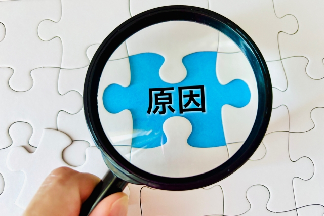 パズル 虫眼鏡 原因の文字